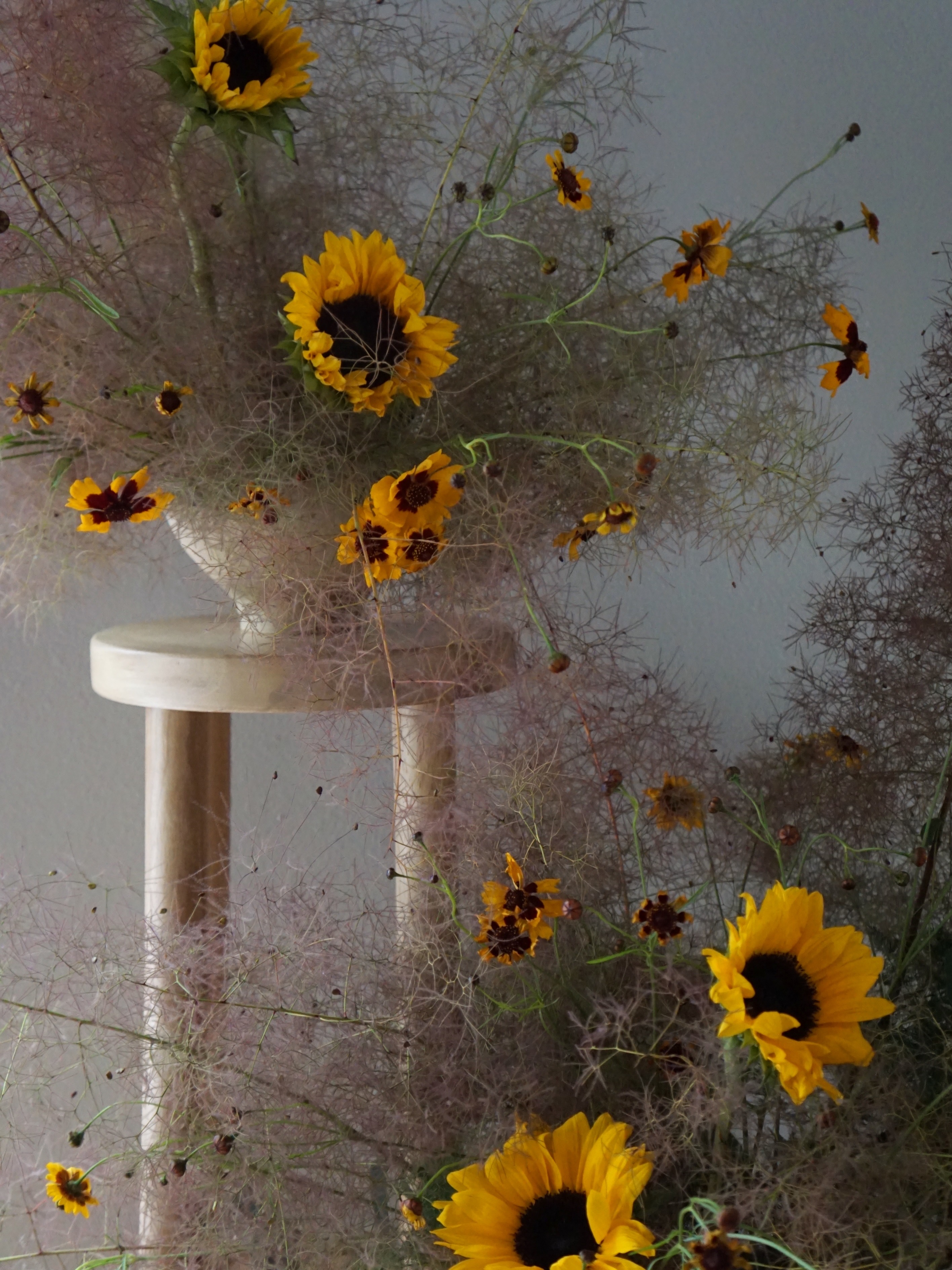 Wild and organic arrangements of smokebush plumes, yellow sunflowers and coreopsis.